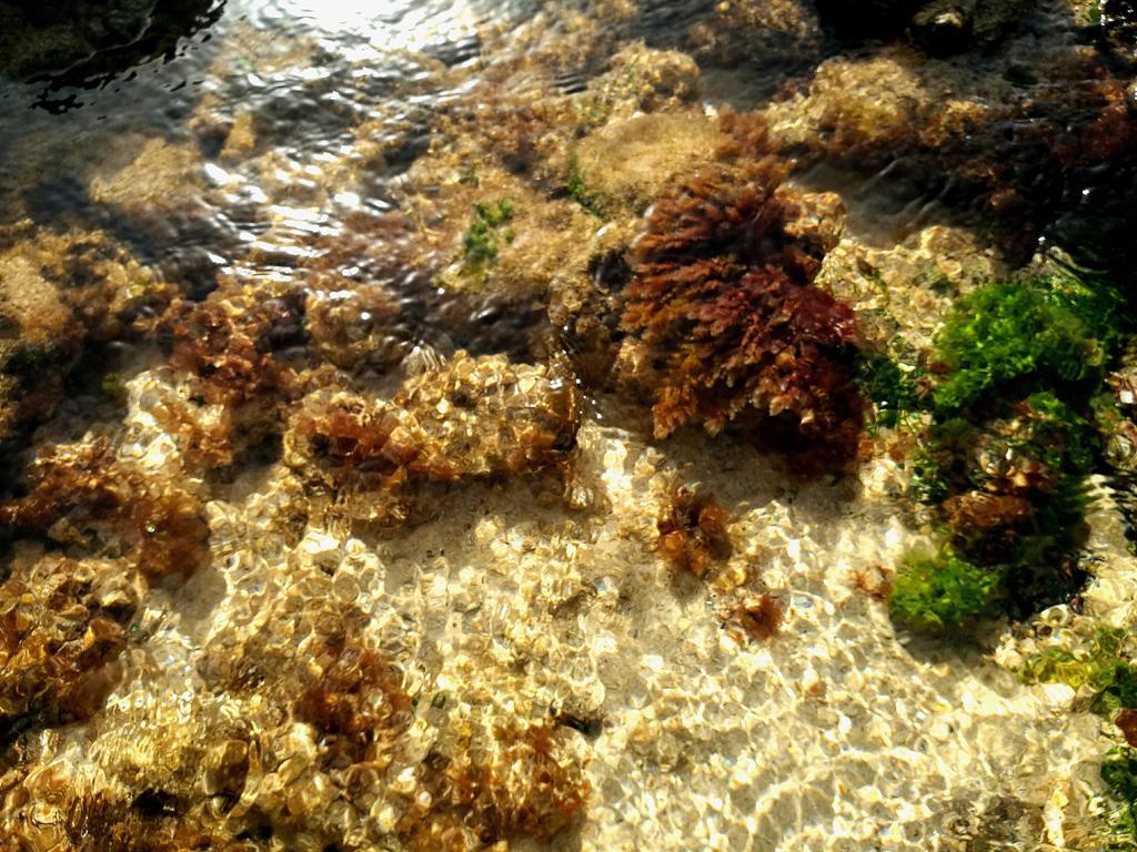 شقة أورزولا  في Perla Del Atlantico المظهر الخارجي الصورة